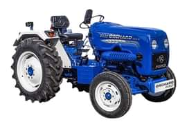 ORCHARD DLX LT