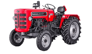 XP PLUS 265 Orchard