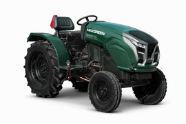 Maxgreen Nandi-25-image